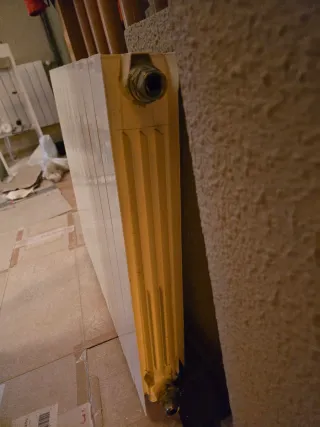 Radiador agua 10 cuerpos blanco