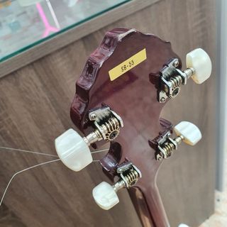 Banjo Samick SB-55