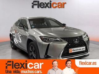 Lexus UX 2.0 250h Business