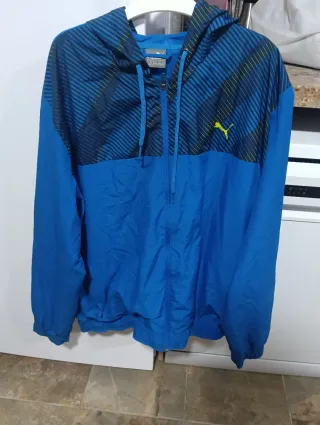 Lote de sudaderas marca (Adidas, ripcurl,volcom..)