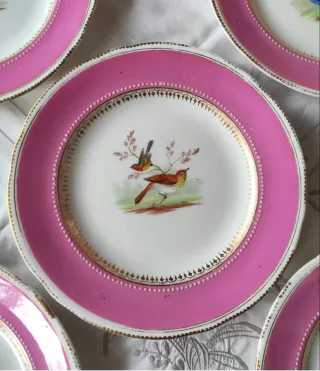 5 Piatti Ridgway 1856 dipinti