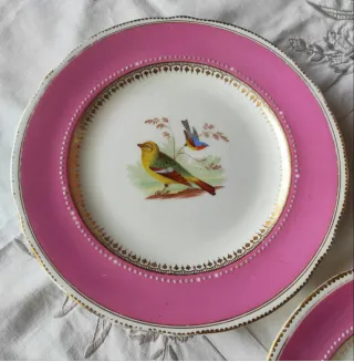 5 Piatti Ridgway 1856 dipinti