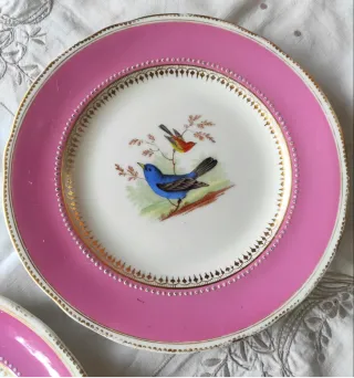 5 Piatti Ridgway 1856 dipinti