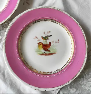 5 Piatti Ridgway 1856 dipinti