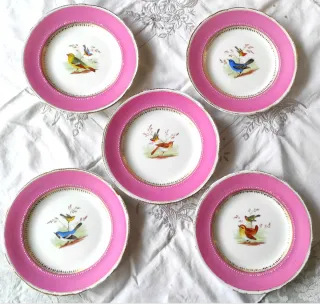 5 Piatti Ridgway 1856 dipinti