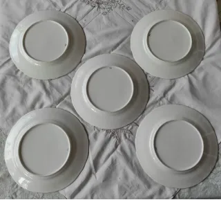 5 Piatti Ridgway 1856 dipinti