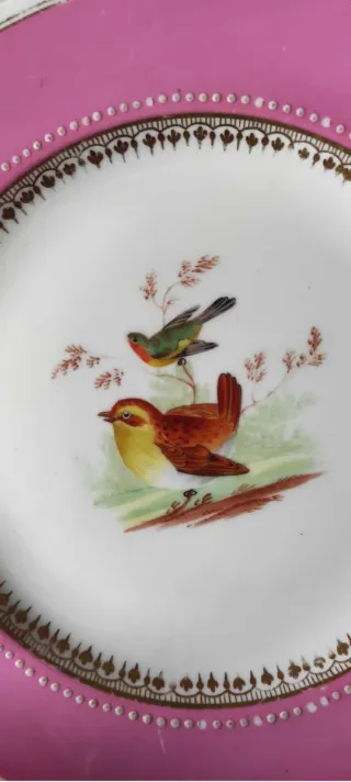 5 Piatti Ridgway 1856 dipinti