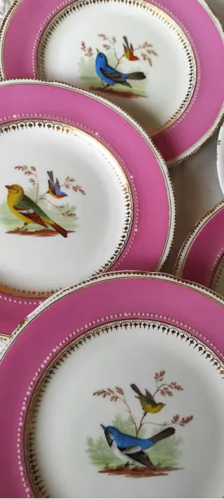 5 Piatti Ridgway 1856 dipinti