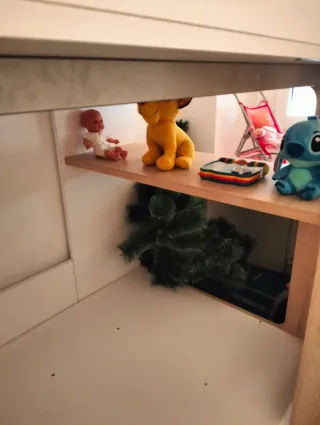 Litera juvenil modular.