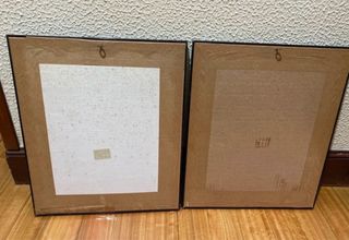 Conjunto de 2 cuadros