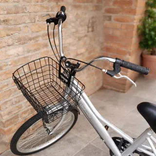 Triciclo para adulto con cesta