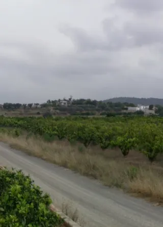 En Villamarchante 10.700m. Con agua