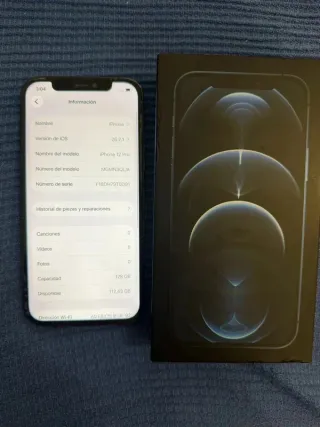 iPhone 12 Pro Max Roto