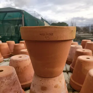 Set 5 Vasi Terracotta Diametro 15cm