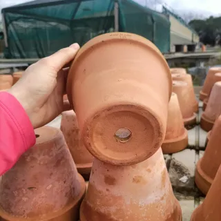 Set 5 Vasi Terracotta Diametro 15cm