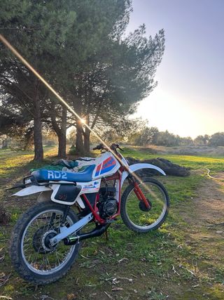 Moto derbi rd2 escucho cambios o ofertas