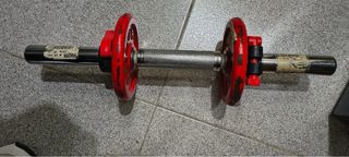 Mancuernas Salter 1kg con discos