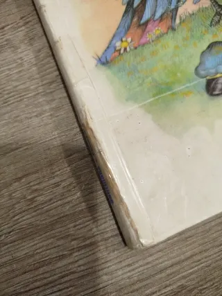 Lio y Musa en el campo