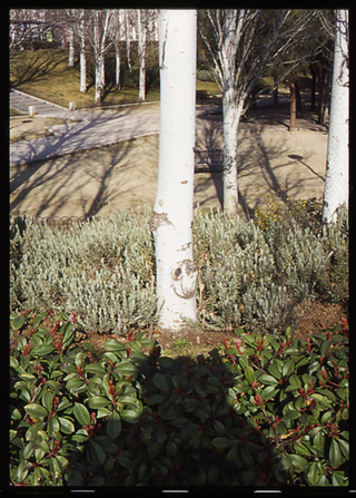 Olympus Pen EES-2 cuidadísima