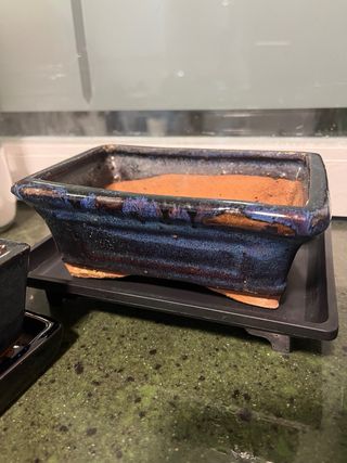 Tiestos de Bonsái Cerámica Azul y Terracota