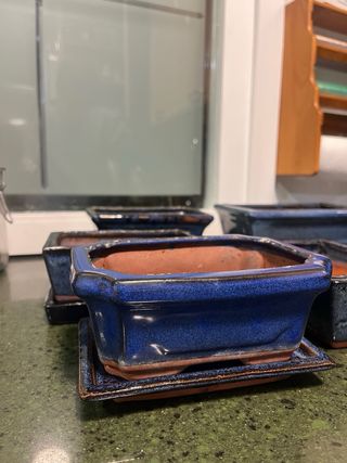 Tiestos de Bonsái Cerámica Azul y Terracota