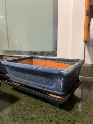 Tiestos de Bonsái Cerámica Azul y Terracota