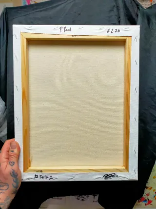 Lienzo Pantera Rosa Arte Abstracto