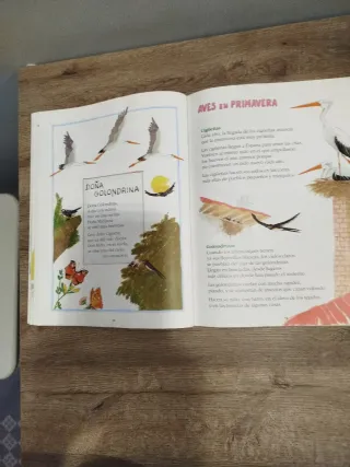 Lío y Musa en la ciudad