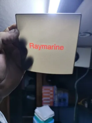 Raymarine ST60