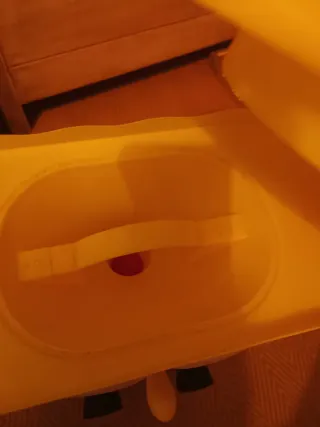 Humidificador Bob Esponja