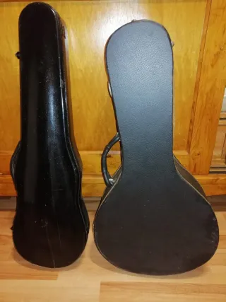 Funda para violín y mandolina