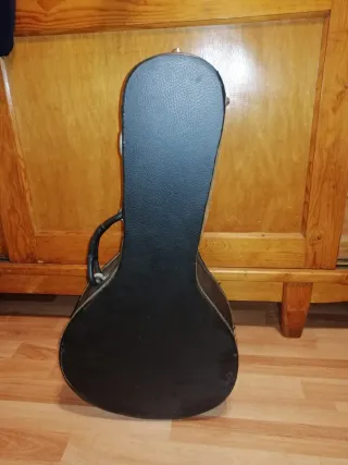 Funda para violín y mandolina