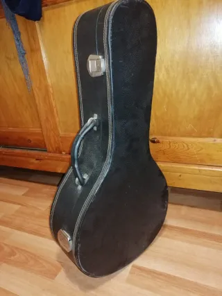 Funda para violín y mandolina