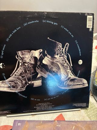 Vinilo Sam Brown April Moon