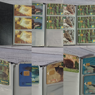 Lote 168 Tarjetas Telefónicas 14 Países (LEED)