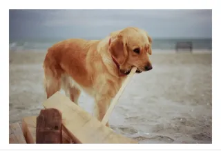 Cámara analógica Olympus OM101 con objetivo 50mm