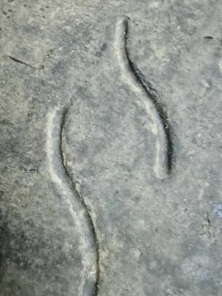 Neumáticos Hankook Sliks