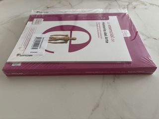 HISTORIA DEL ARTE SERIE DESCUBRE 2 BTO SABER HACER