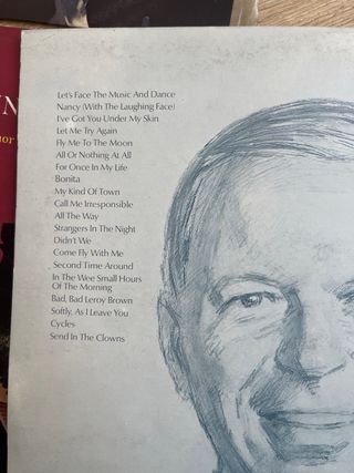 Lote Vinilos Clásicos y Pop (Negociable)