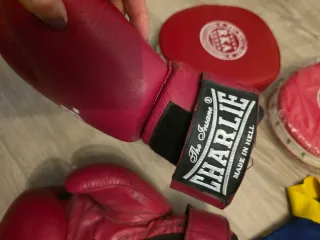 Lote Kick Boxing/Boxeo: Guantes y Protecciones