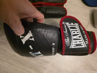 Lote Kick Boxing/Boxeo: Guantes y Protecciones