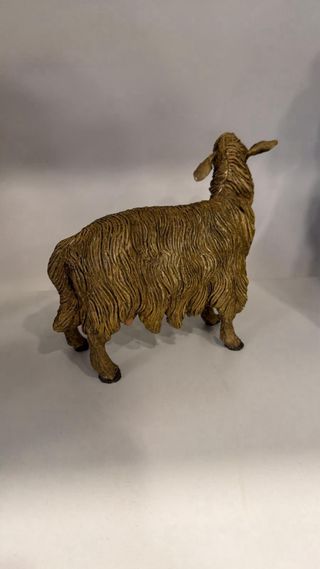 Pecorina in terracotta