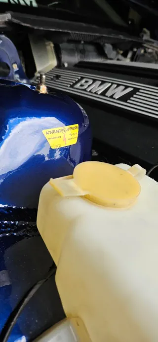 Pegatinas originales BMW E36 vano motor (restaurar