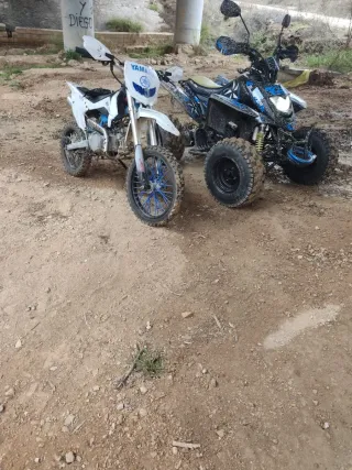 Pit Bike Rebel máster 140cc XL Motocross Blanca