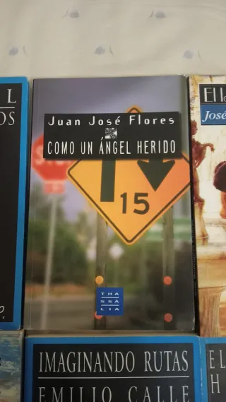 Novelas, libros. 2 EUROS cada uno. SIN LEER