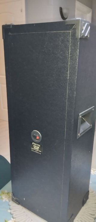 Pareja Altavoces Fenton Negros