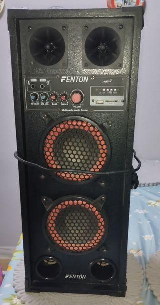 Pareja Altavoces Fenton Negros