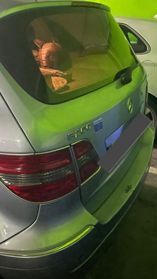 Mercedes-Benz Clase B 2007