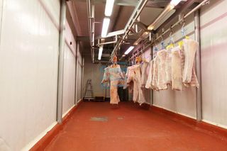 Nave industrial en alquiler en Oiartzun