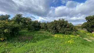 Terreno en venta en Pinos de Alhaurín - Periferia en Alhaurín de la Torre